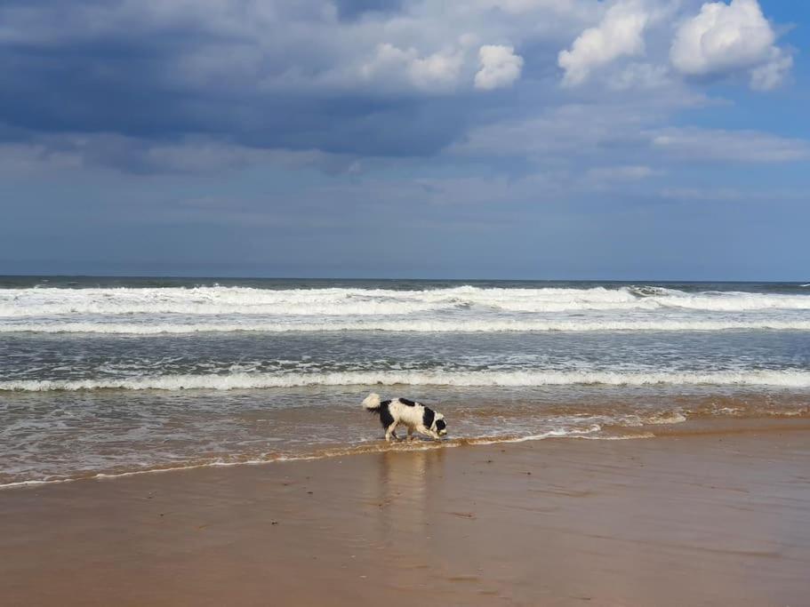 Sandstone Cottage Marske-by-the-Sea Exteriör bild
